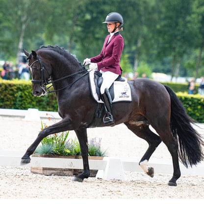 FRAK KONKURSOWY JuulC BURGUNDY
