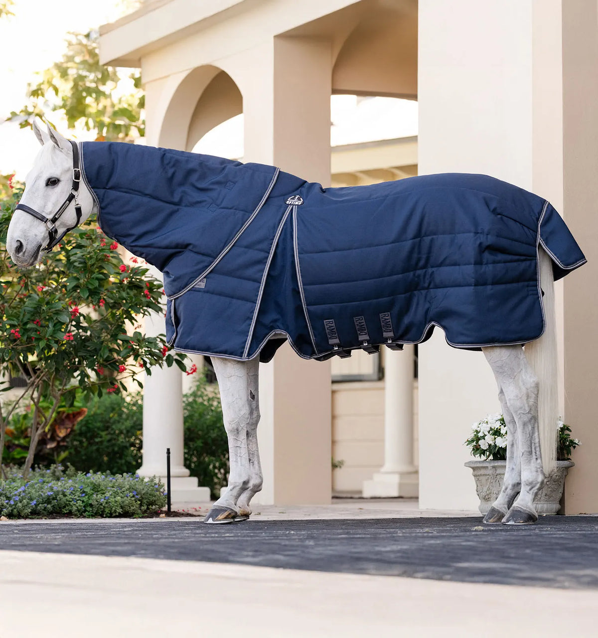 DERKA OPTIMO STABLE PLUS 200g